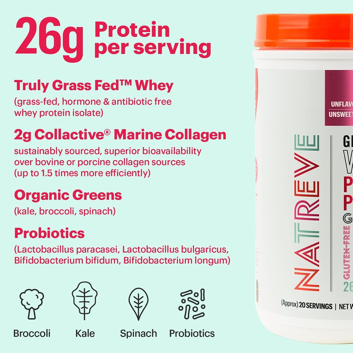 Natreve Whey Protein Powder - 26g Grass-Fed Whey Protein with Amino Acids, Probiotics & Collagen - Gluten Free & Unflavored, 20 Servings