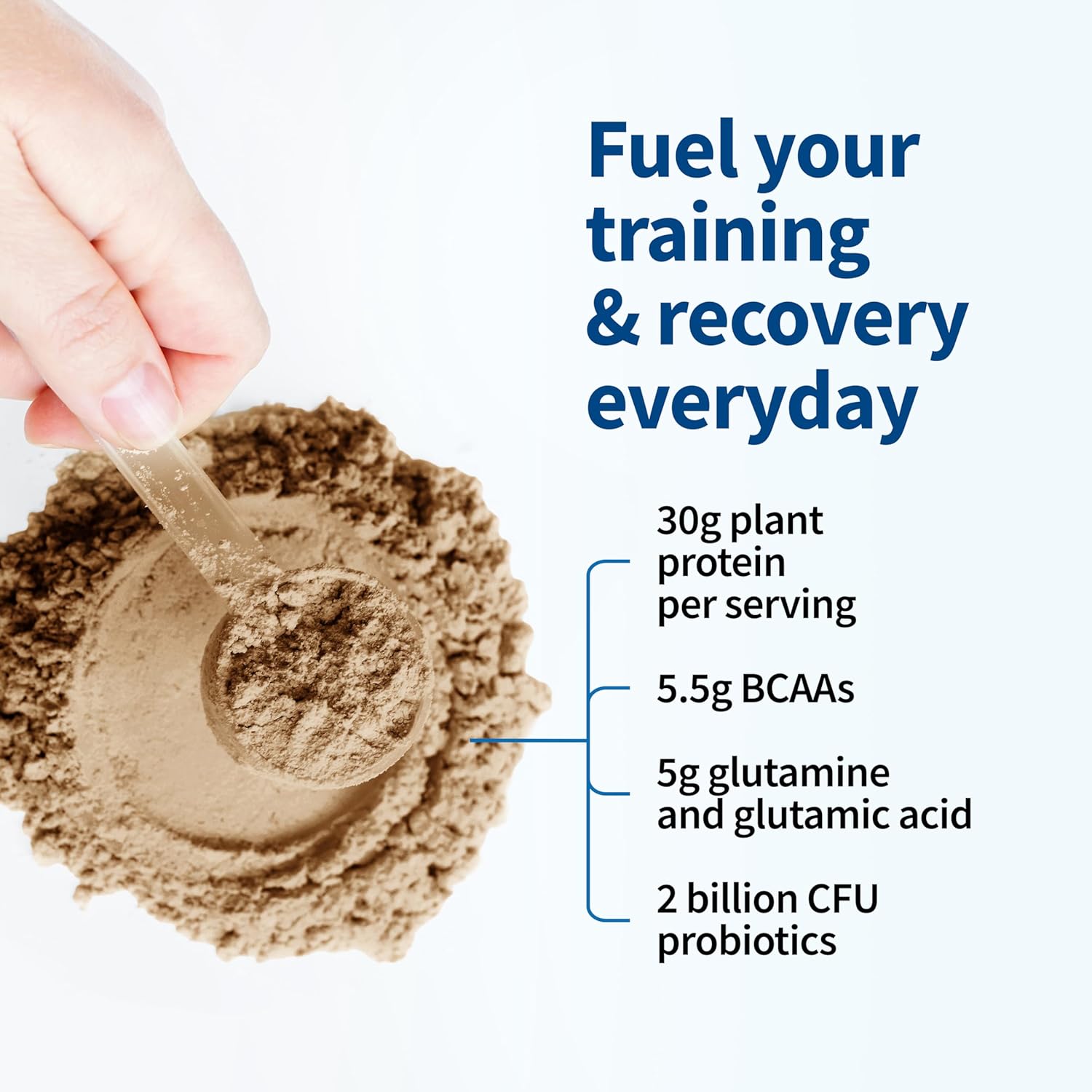 Garden of Life Organic Vegan Protein Powder with Probiotics, BCAAs, NSF Certified, Gluten Free & Sport, Non GMO, Sport Protein Powder, 19 Servings, Chocolate
